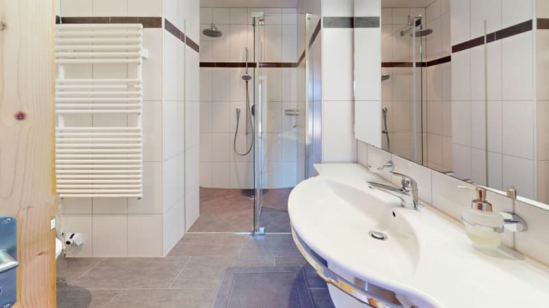 Beautiful 2.5 room holiday apartment (6)