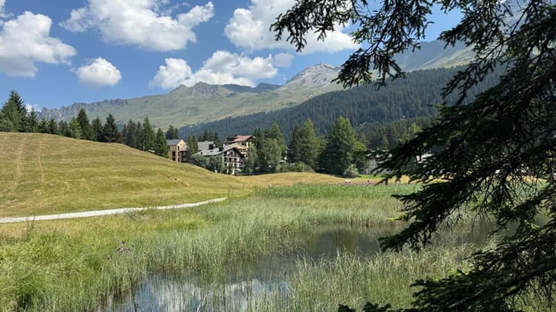 Appartement de vacances 2.5 pièces dans un excellent emplacement (15)