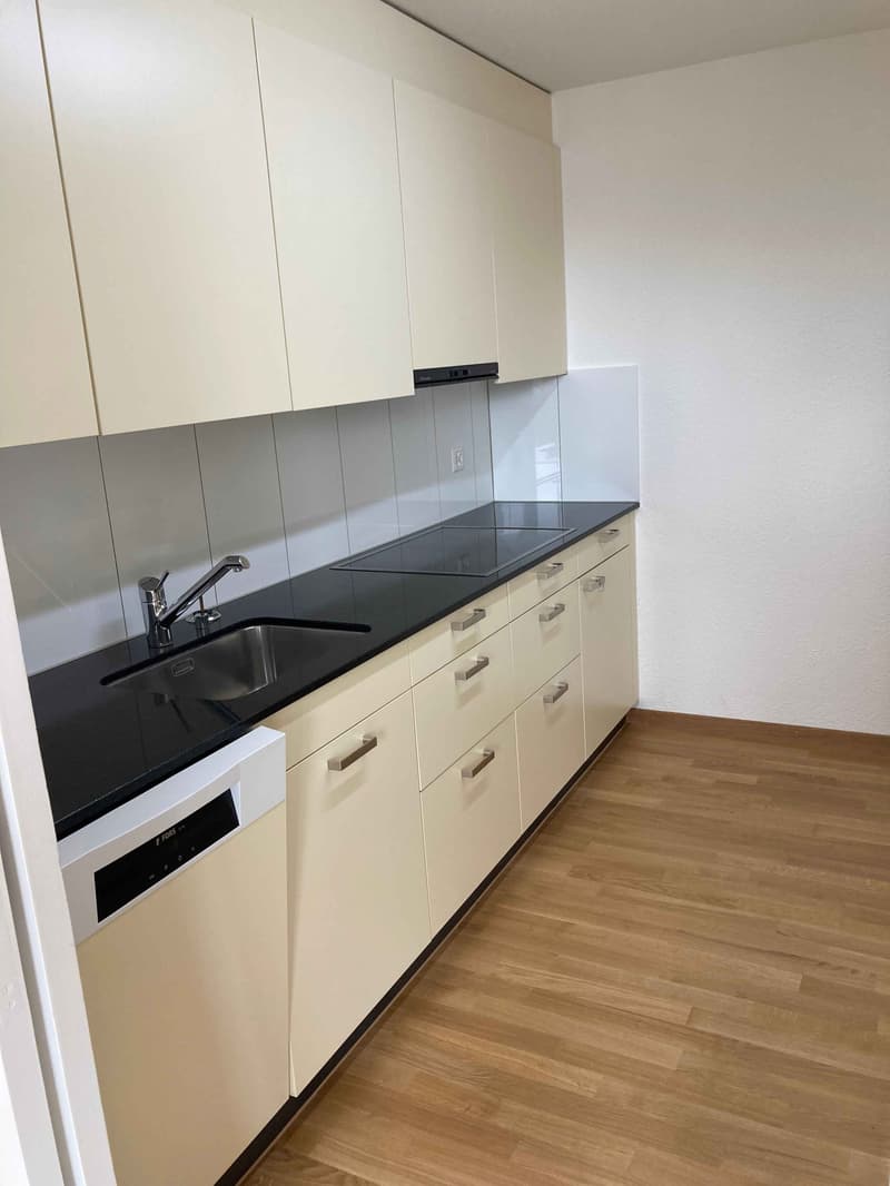 Superbe appartement-maisonnette en attique dans un environnement rural (2)