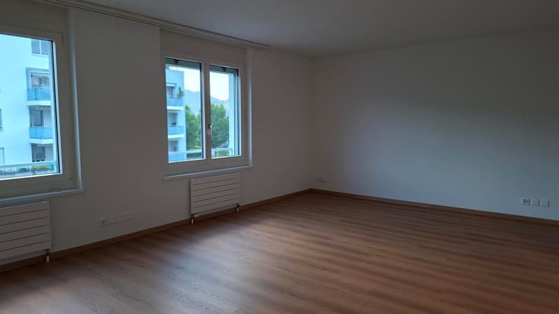 Espaces commerciaux attractifs à louer – divisibles en 2 unités (4)