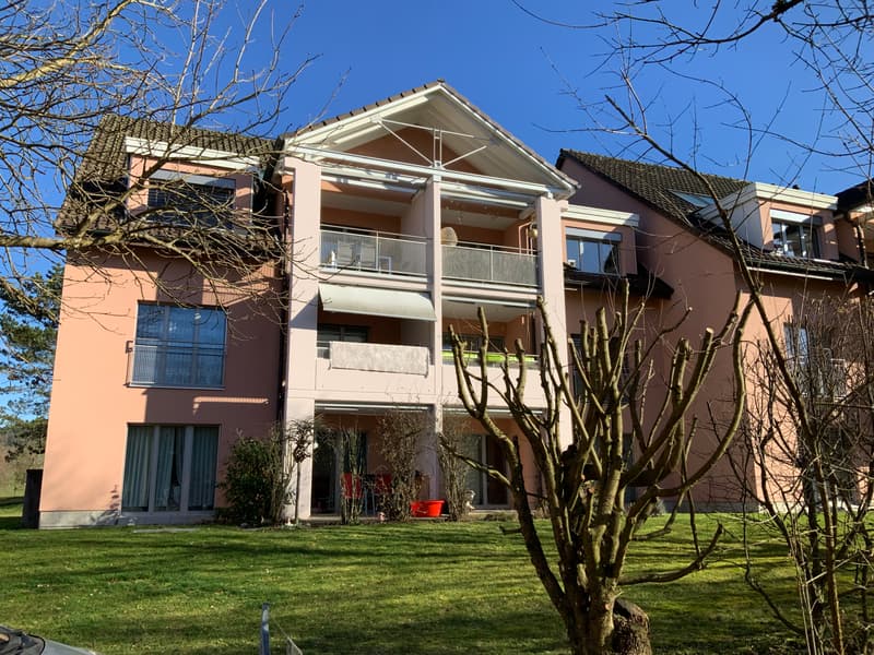 Appartamento accogliente (1)