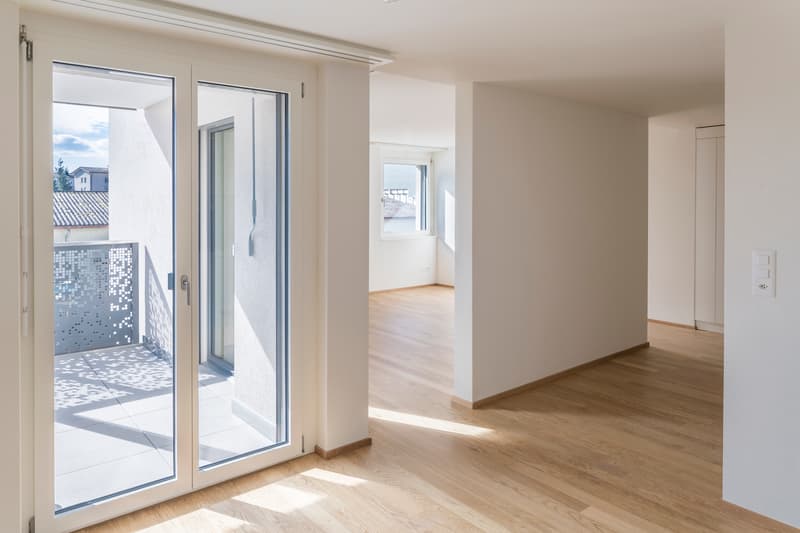 Cozy 1 ½-room apartment in Sursee (2)