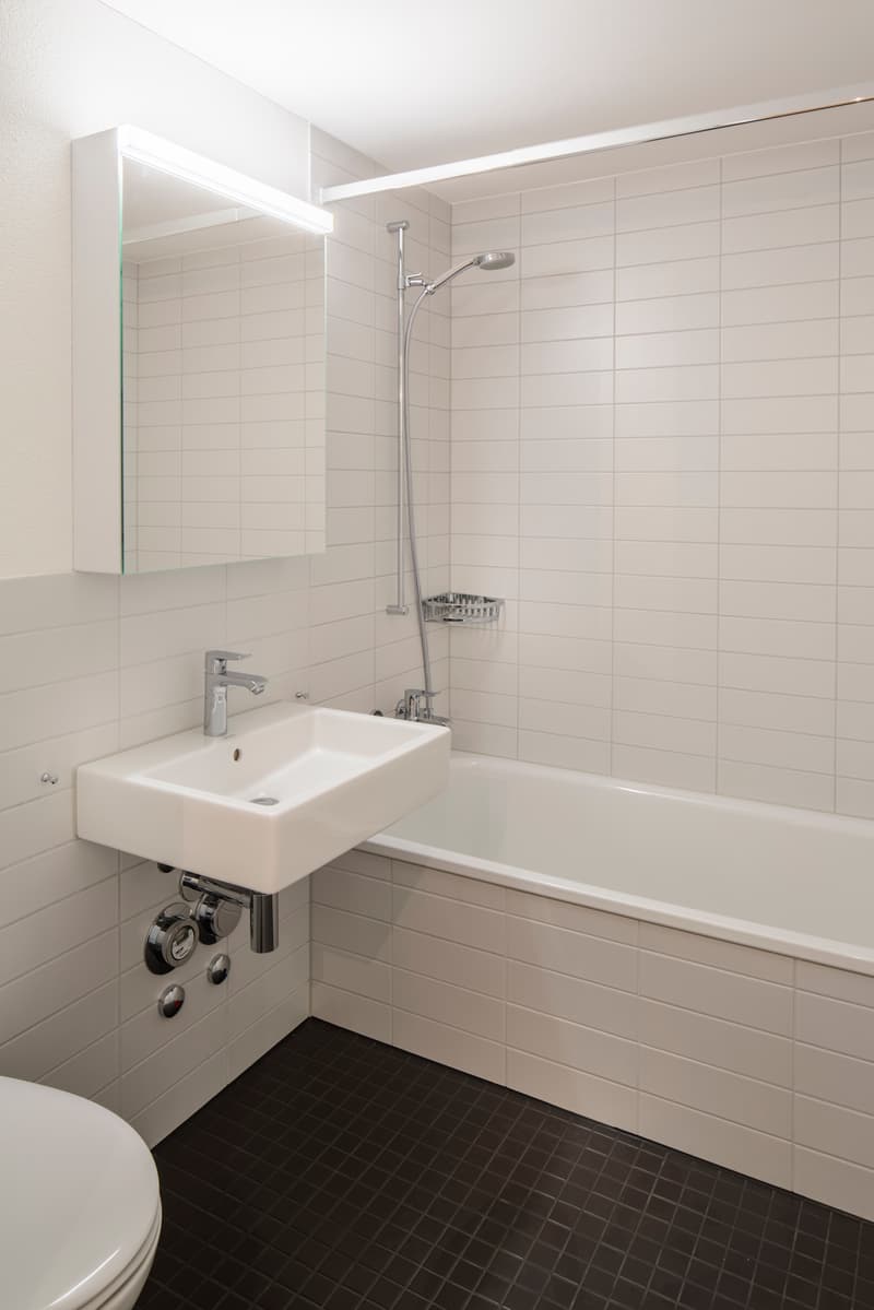 Cozy 1 ½-room apartment in Sursee (3)