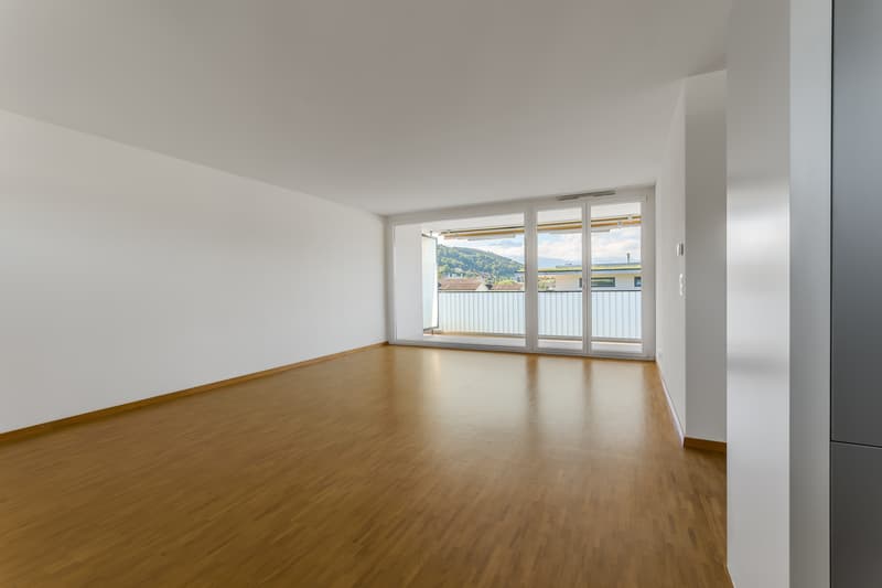Your dream home in Ebikon (2)