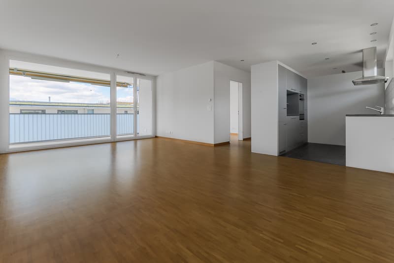 Your dream home in Ebikon (3)