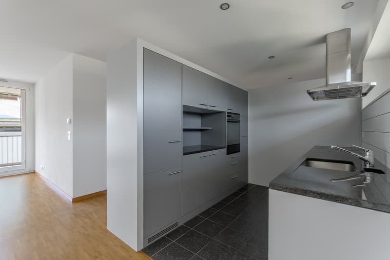 Your dream home in Ebikon (7)
