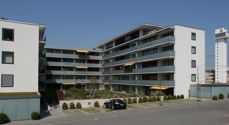 Your dream home in Ebikon (1)