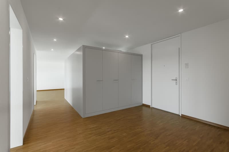 Your dream home in Ebikon (6)