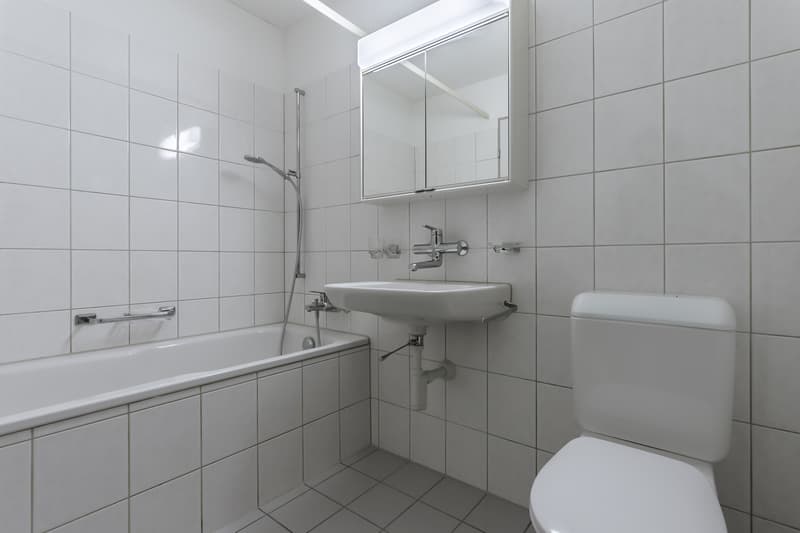 Appartement avec vue sur le vert (4)