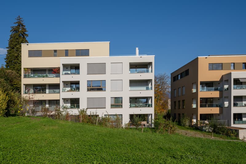 Attraktive 2.5-Zimmerwohnung an ruhiger Lage in Meggen (8)