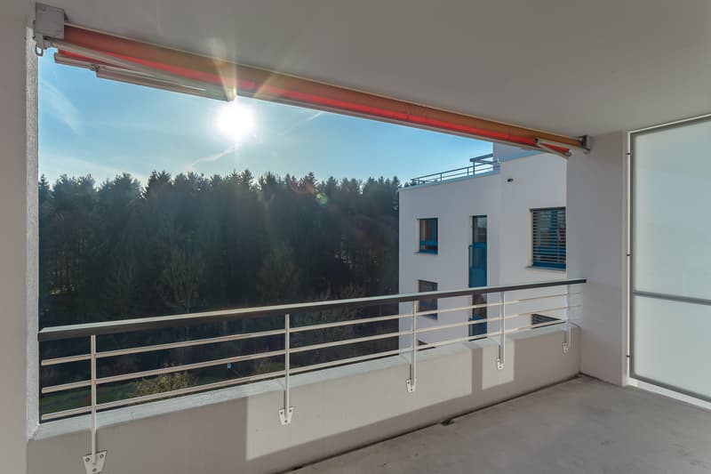 4-Zimmerwohnung im Grünen (4)