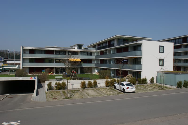 Eine Wohnung zum Wohlfühlen (1)