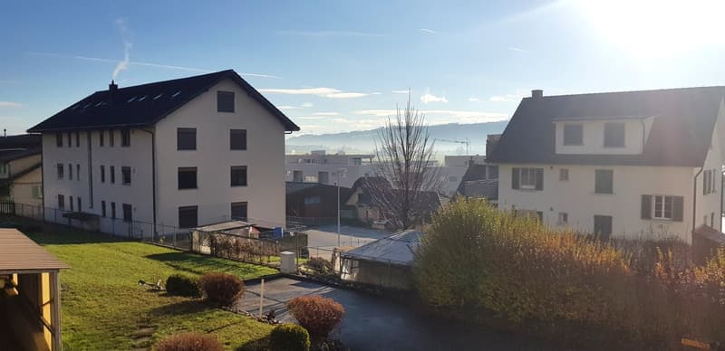 Appartement ensoleillé et spacieux de 4,5 pièces (10013) (2)