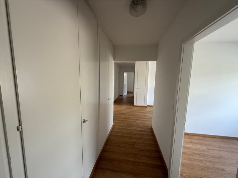 Appartement ensoleillé et spacieux de 4,5 pièces (10013) (4)