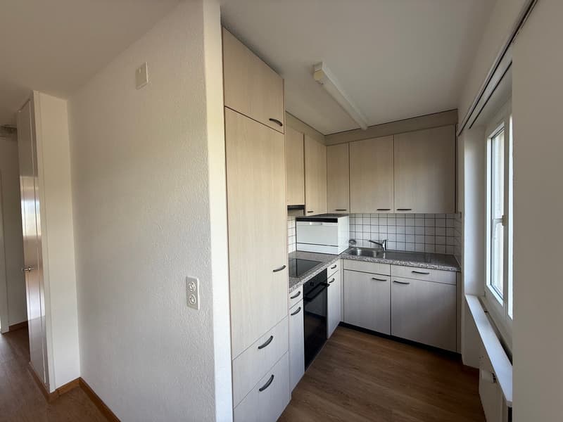 Appartement ensoleillé et spacieux de 4,5 pièces (10013) (7)