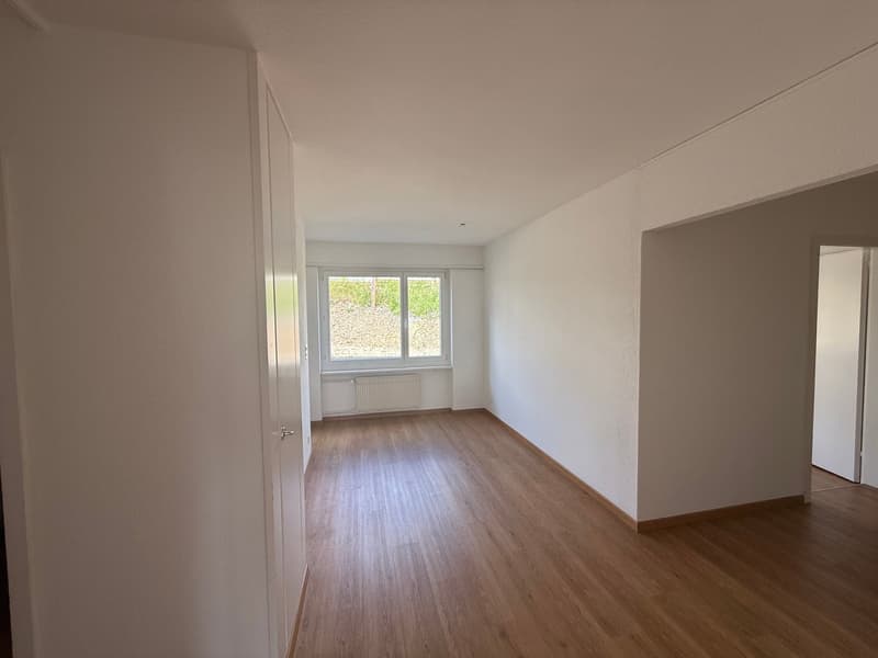 Appartement ensoleillé et spacieux de 4,5 pièces (10013) (5)