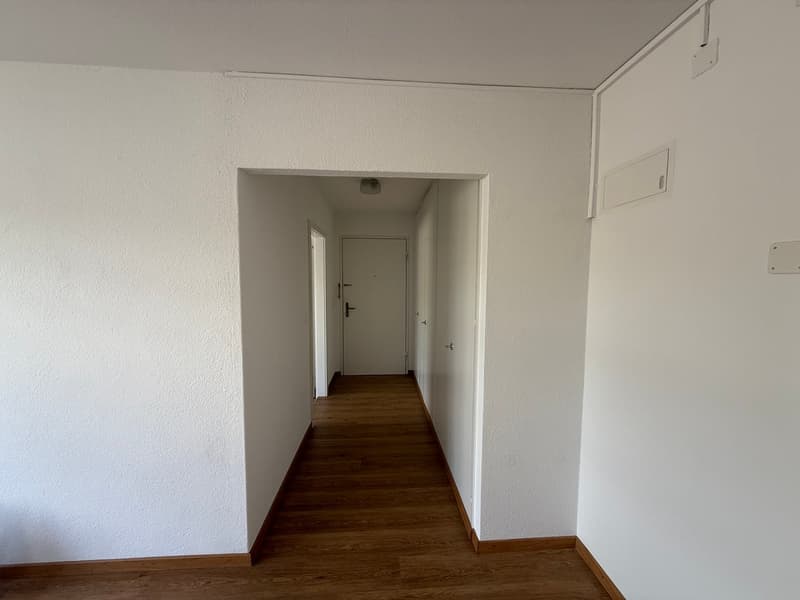 Appartement ensoleillé et spacieux de 4,5 pièces (10013) (3)