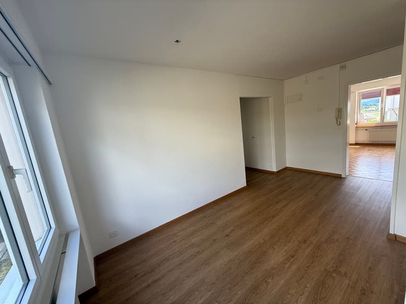 Appartement ensoleillé et spacieux de 4,5 pièces (10013) (6)