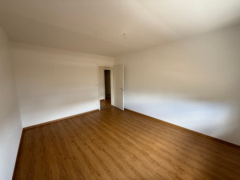 Appartement ensoleillé et spacieux de 4,5 pièces (10013) (14)