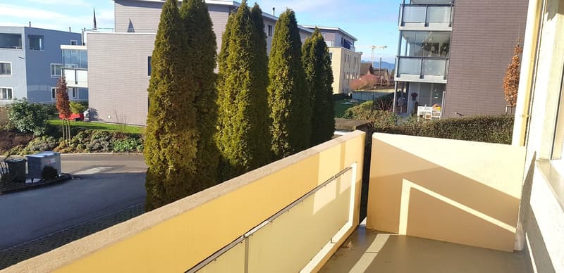 Appartement ensoleillé et spacieux de 4,5 pièces (10013) (17)