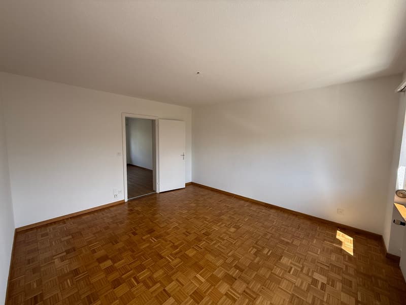 Appartement ensoleillé et spacieux de 4,5 pièces (10013) (12)