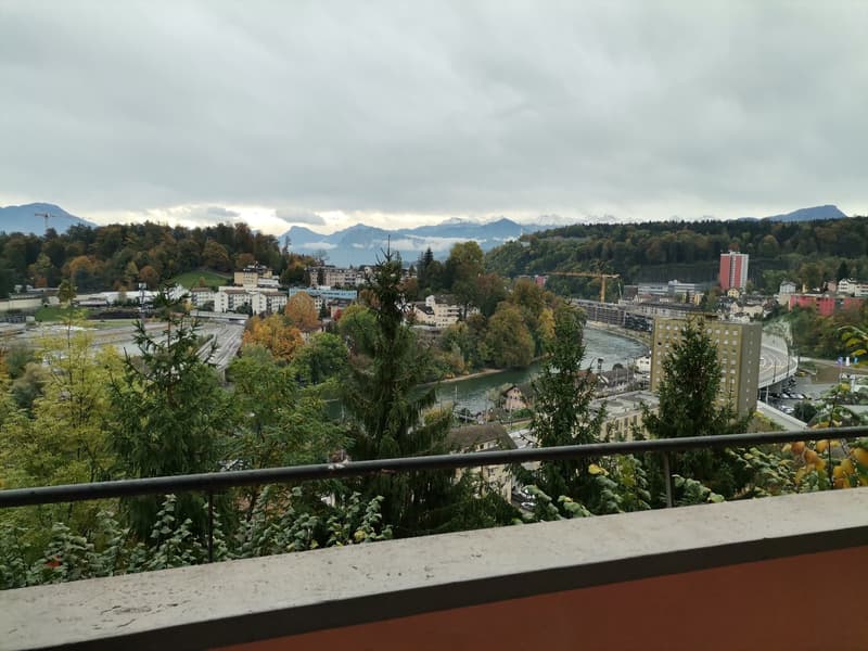Cityscape with mountains, river, buildings, and trees