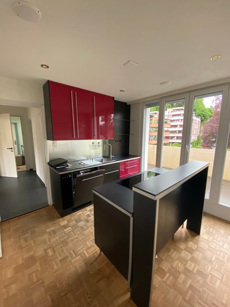 modern kitchen with red cabinets, black countertops, island, dishwasher, sink, faucet, wooden floor, sliding glass doors