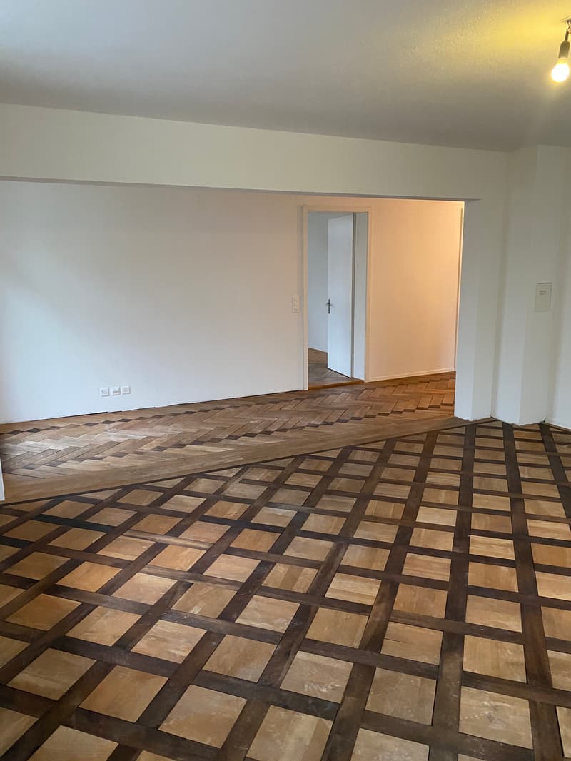 Appartement charmant et spacieux de 4,5 pièces (10021) (4)
