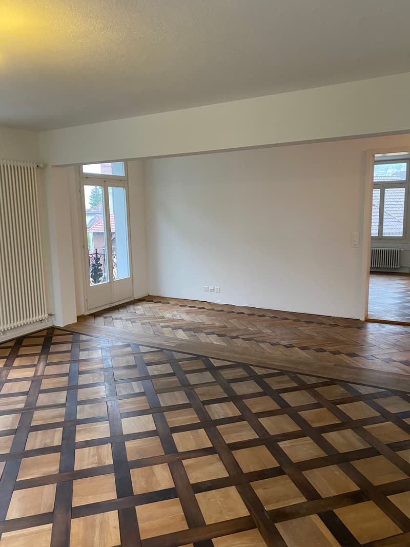 Appartement charmant et spacieux de 4,5 pièces (10021) (11)