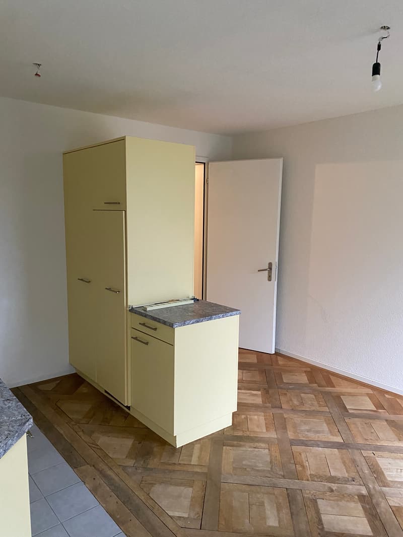 Appartement charmant et spacieux de 4,5 pièces (10021) (7)