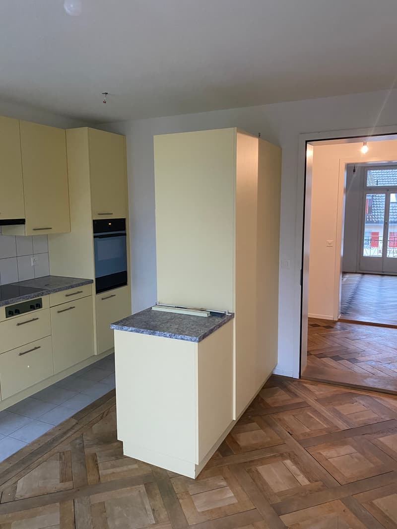 Appartement charmant et spacieux de 4,5 pièces (10021) (8)