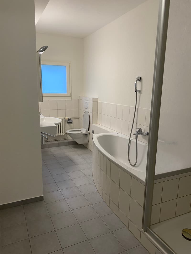Appartement charmant et spacieux de 4,5 pièces (10021) (9)