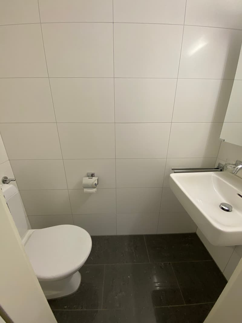 4.5-room apartment for rent (13001) (8)