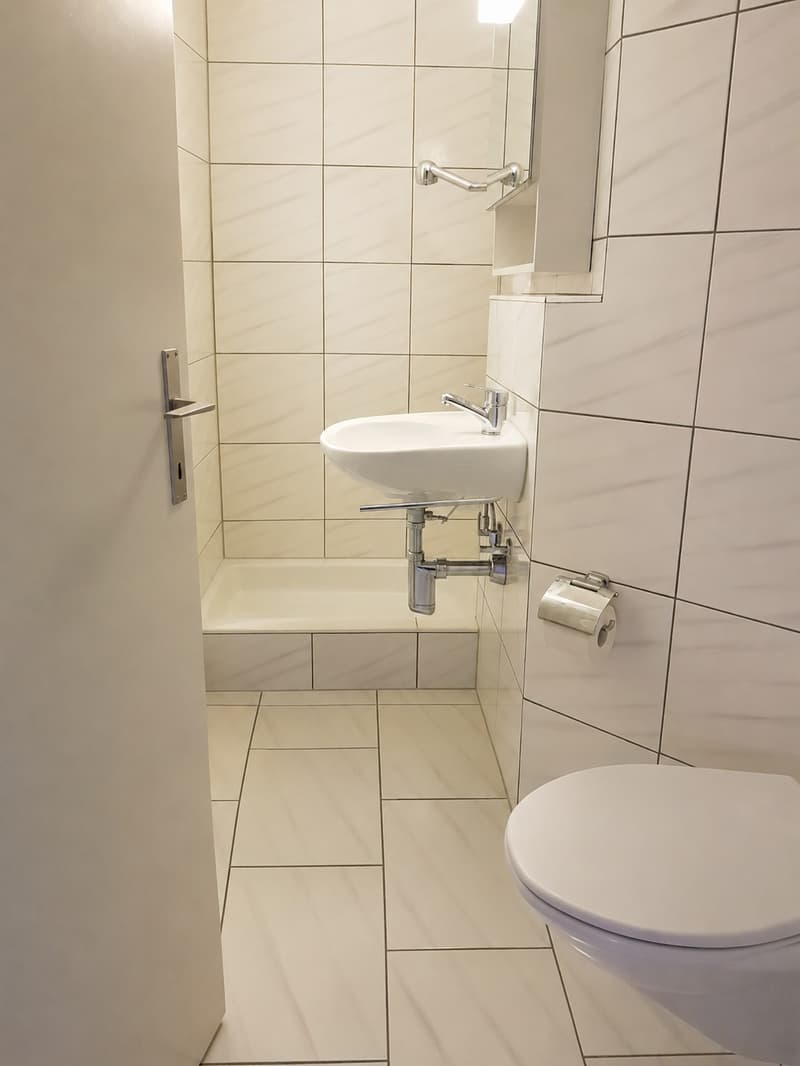 Ampio appartamento di 3,5 locali in affitto alla periferia della città (10021) (5)