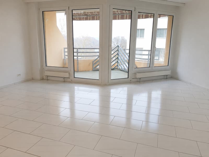 Ampio appartamento di 3,5 locali in affitto alla periferia della città (10021) (6)