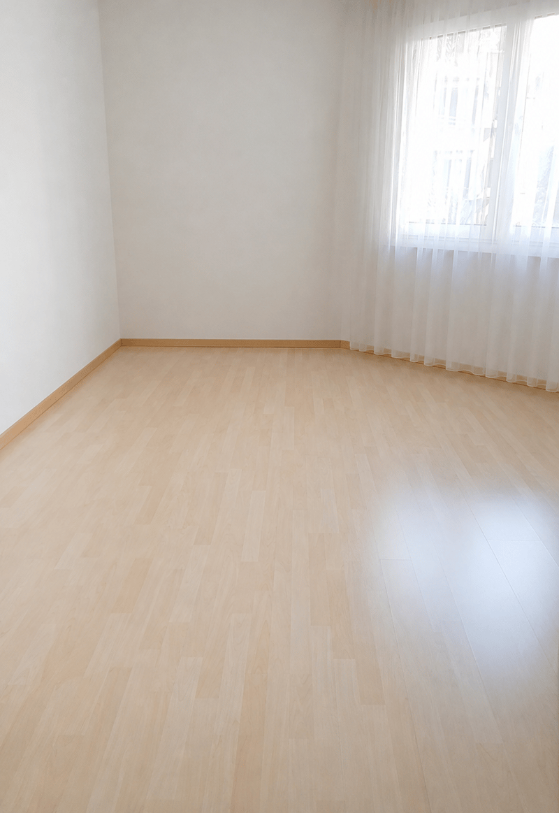 Ampio appartamento di 3,5 locali in affitto alla periferia della città (10021) (8)