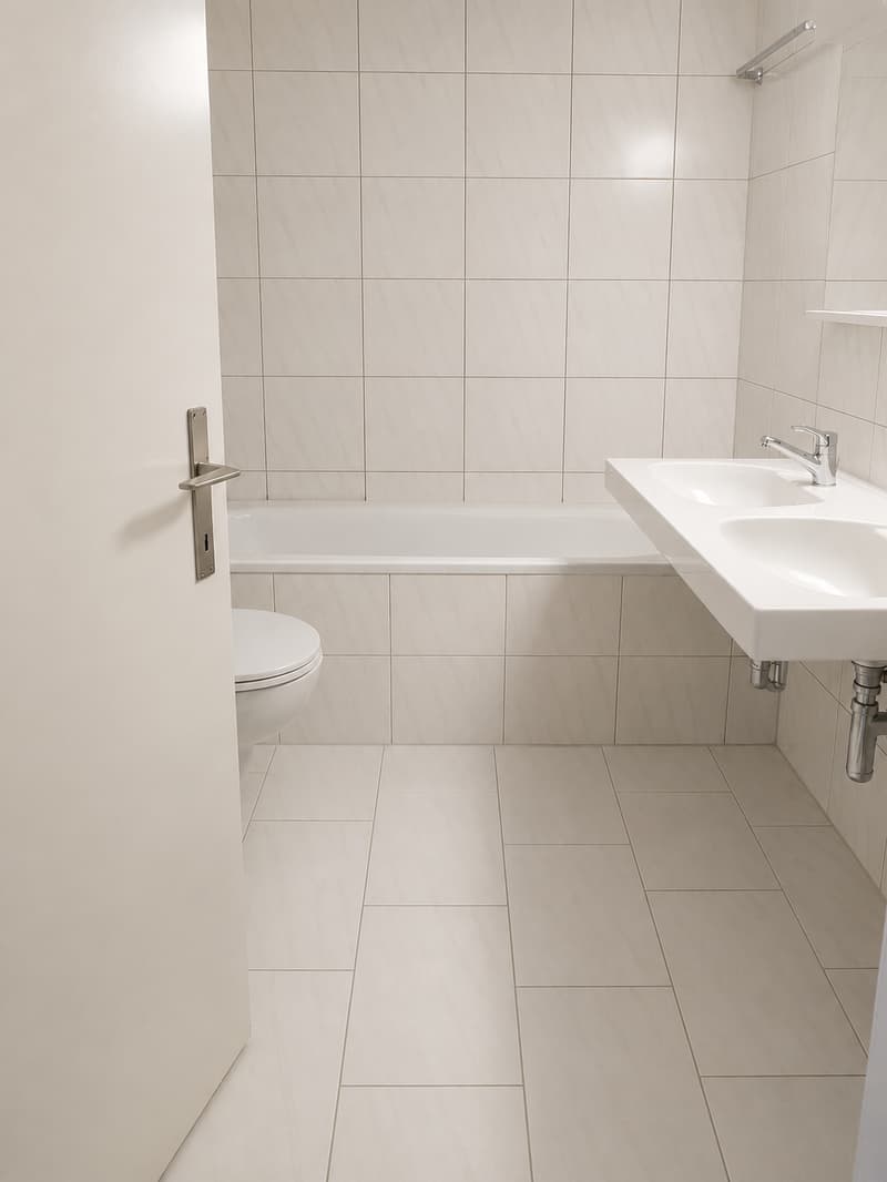 Ampio appartamento di 3,5 locali in affitto alla periferia della città (10021) (4)