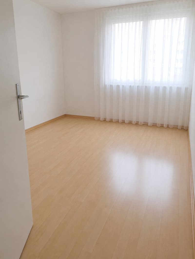 Ampio appartamento di 3,5 locali in affitto alla periferia della città (10021) (7)