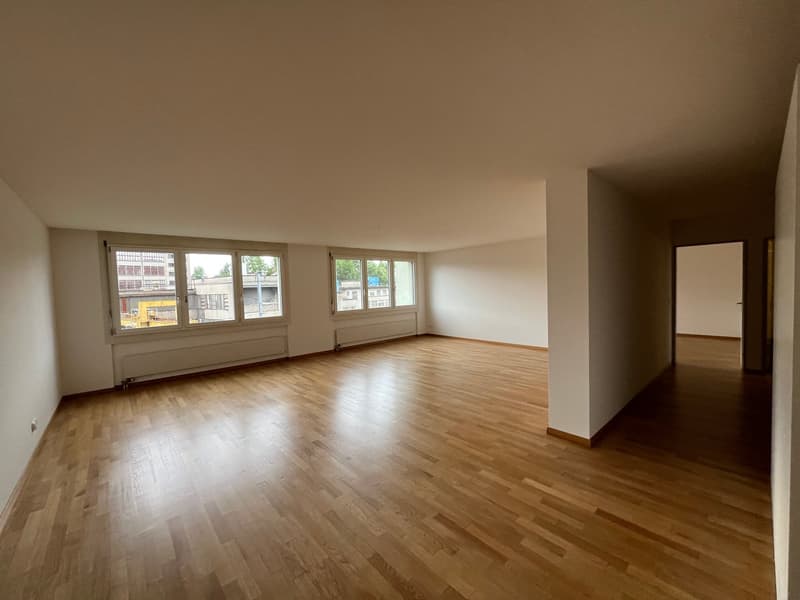Appartamento luminoso 2.5 locali con carattere loft (2)