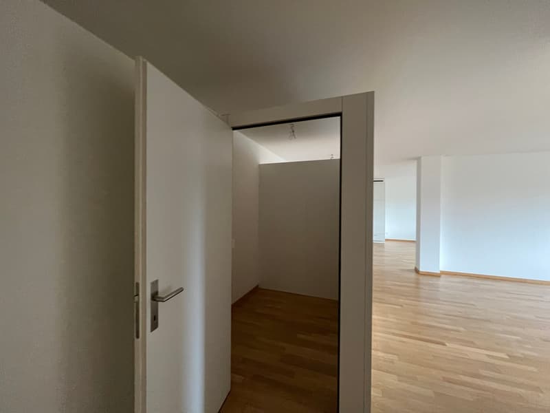 Appartamento luminoso 2.5 locali con carattere loft (12)