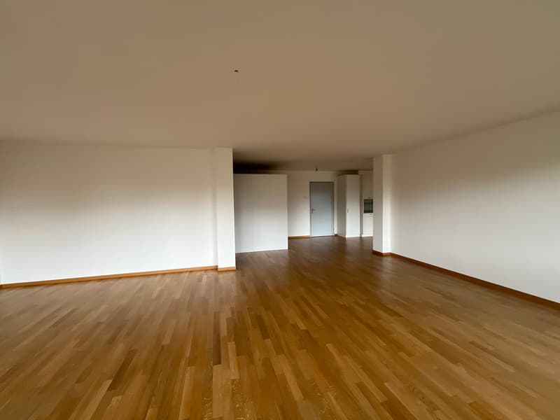 Appartamento luminoso 2.5 locali con carattere loft (6)