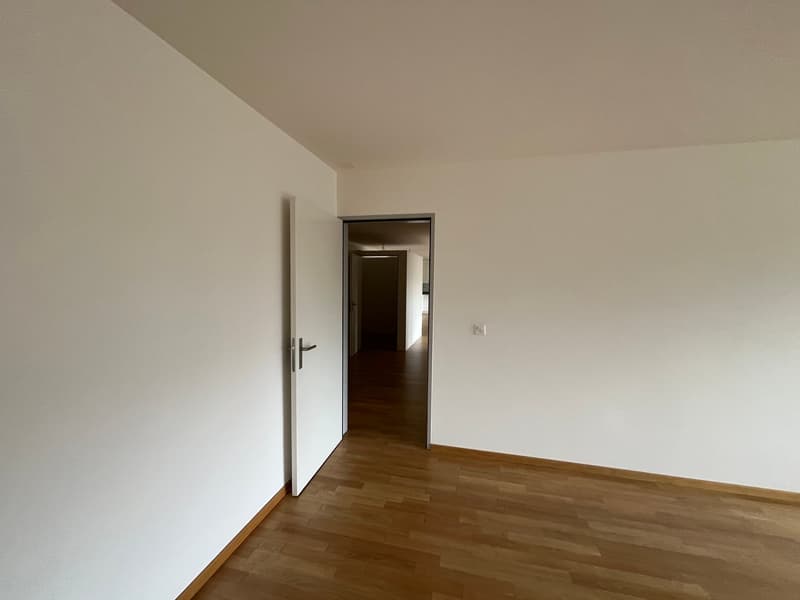 Appartamento luminoso 2.5 locali con carattere loft (9)