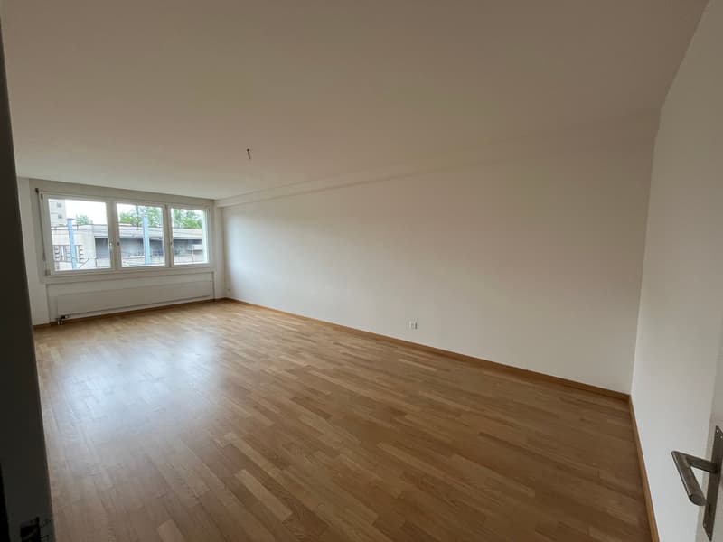 Appartamento luminoso 2.5 locali con carattere loft (5)