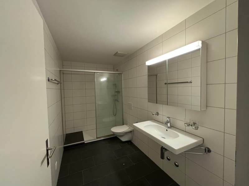 Appartamento luminoso 2.5 locali con carattere loft (4)
