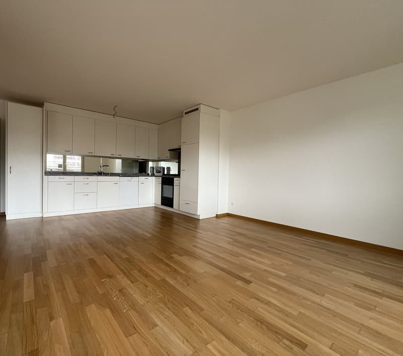 Appartamento luminoso 2.5 locali con carattere loft (3)