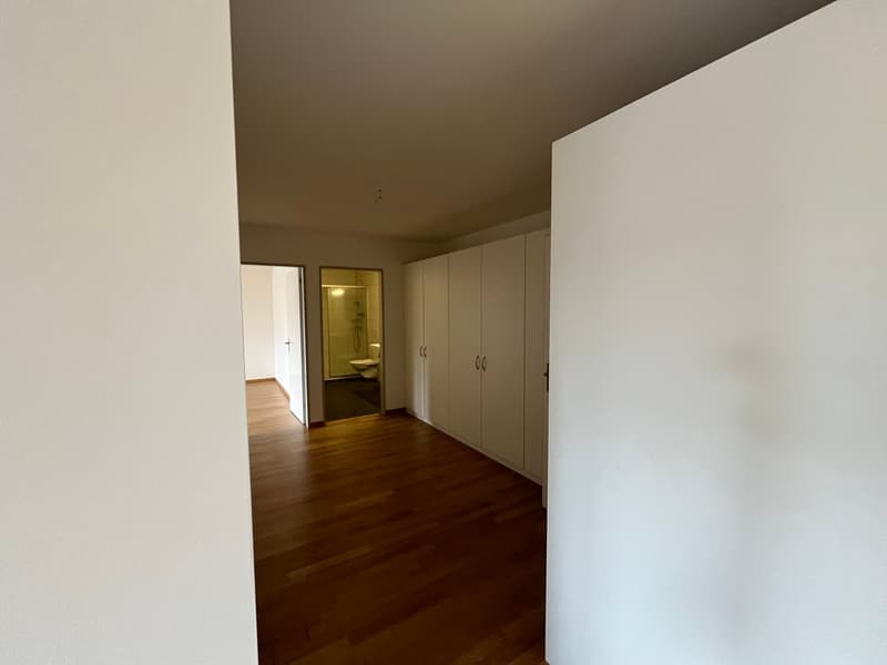 Appartamento luminoso 2.5 locali con carattere loft (10)