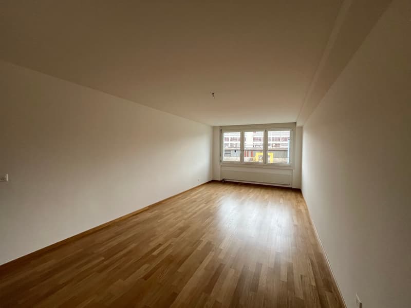 Appartamento luminoso 2.5 locali con carattere loft (7)