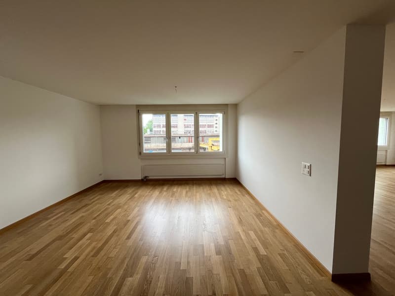 Appartamento luminoso 2.5 locali con carattere loft (8)