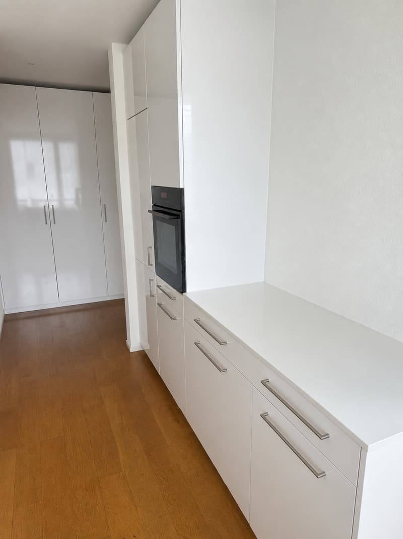 Appartement moderne de 3,5 pièces à Tribschenstadt (3)