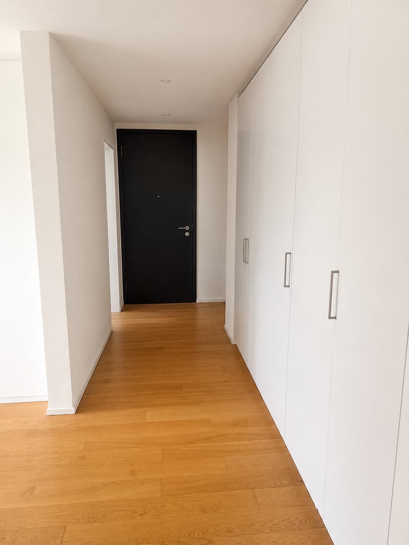 Appartement moderne de 3,5 pièces à Tribschenstadt (5)